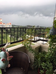 Costa Rhu (D15), Condominium #183534602